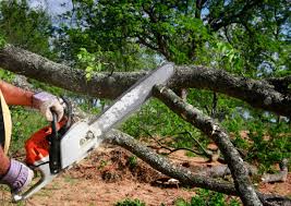  Leavenworth, WA Tree Care Pros