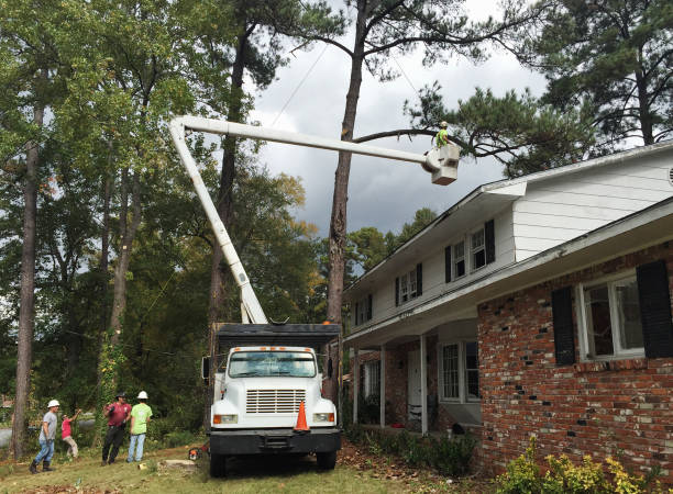 Best Utility Line Clearance  in Leavenworth, WA