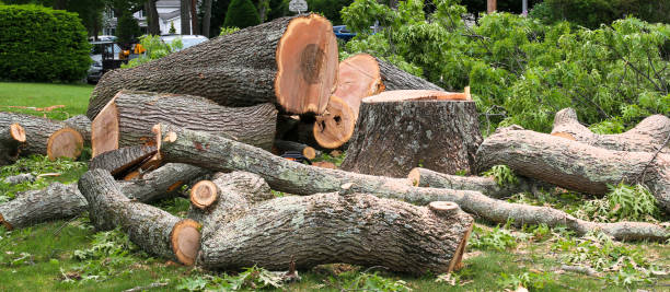 Best Lawn Dethatching  in Leavenworth, WA